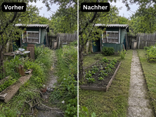 Gartenpflege – vorher und nachher Gartenpflege und Aufräumung – vorher und nachher
